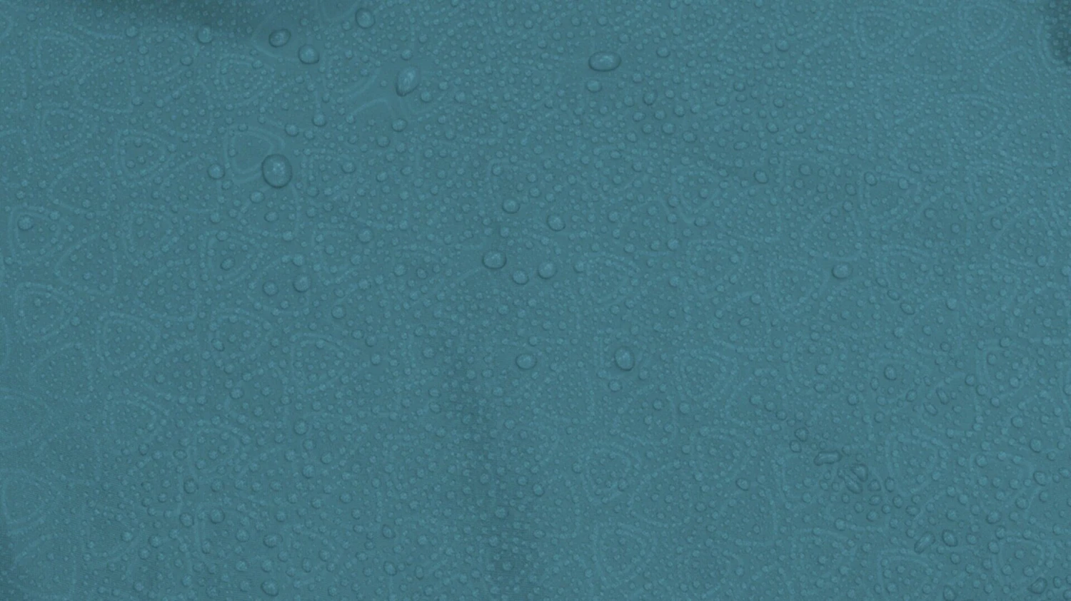 Robens Arch 2 Tent (2023) - Image 8